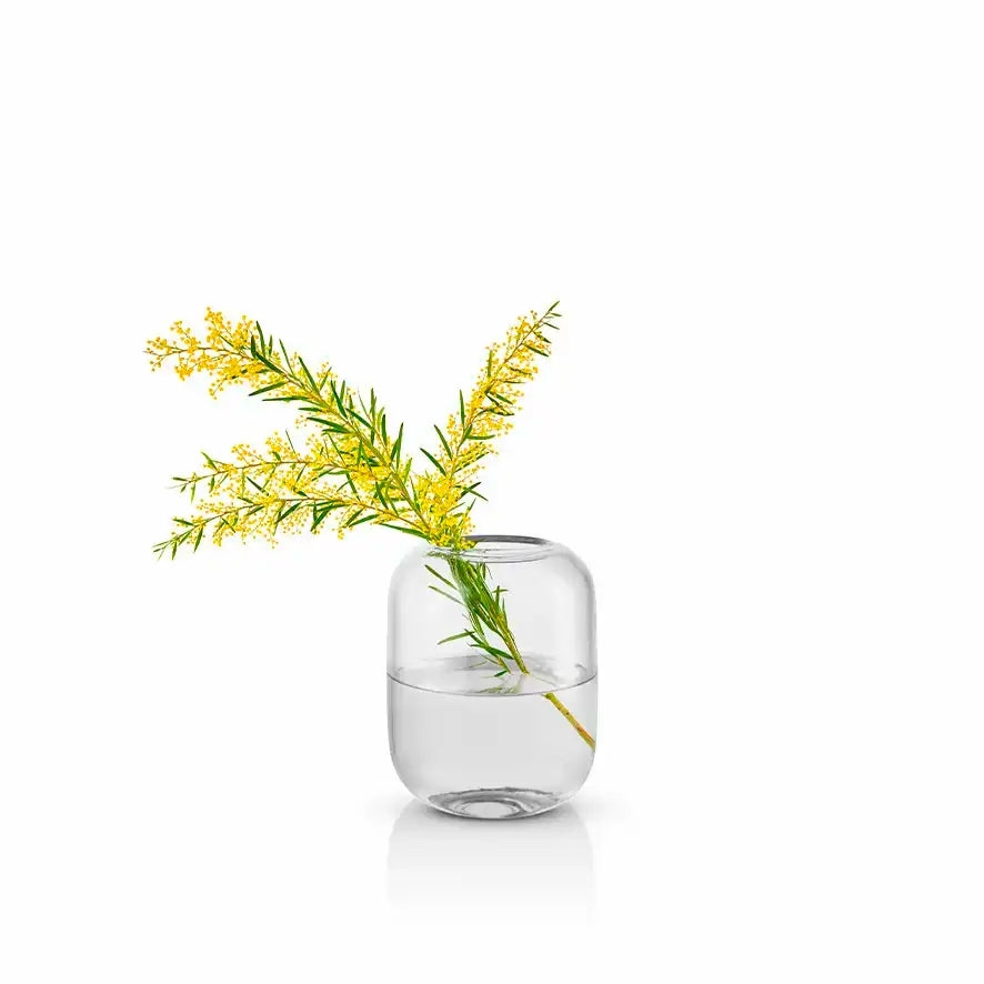 Eva Solo Acorn Vase clear H 16,5 cm - Teeliesel Default Title